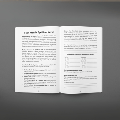 MISSION 30 - 3 Month guided system - self improvement - MINDSTONE