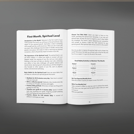 MISSION 30 - 3 Month guided system - self improvement - MINDSTONE