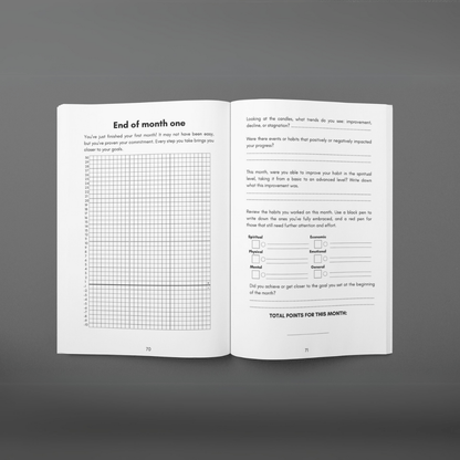 MISSION 30 - 3 Month guided system - self improvement - MINDSTONE